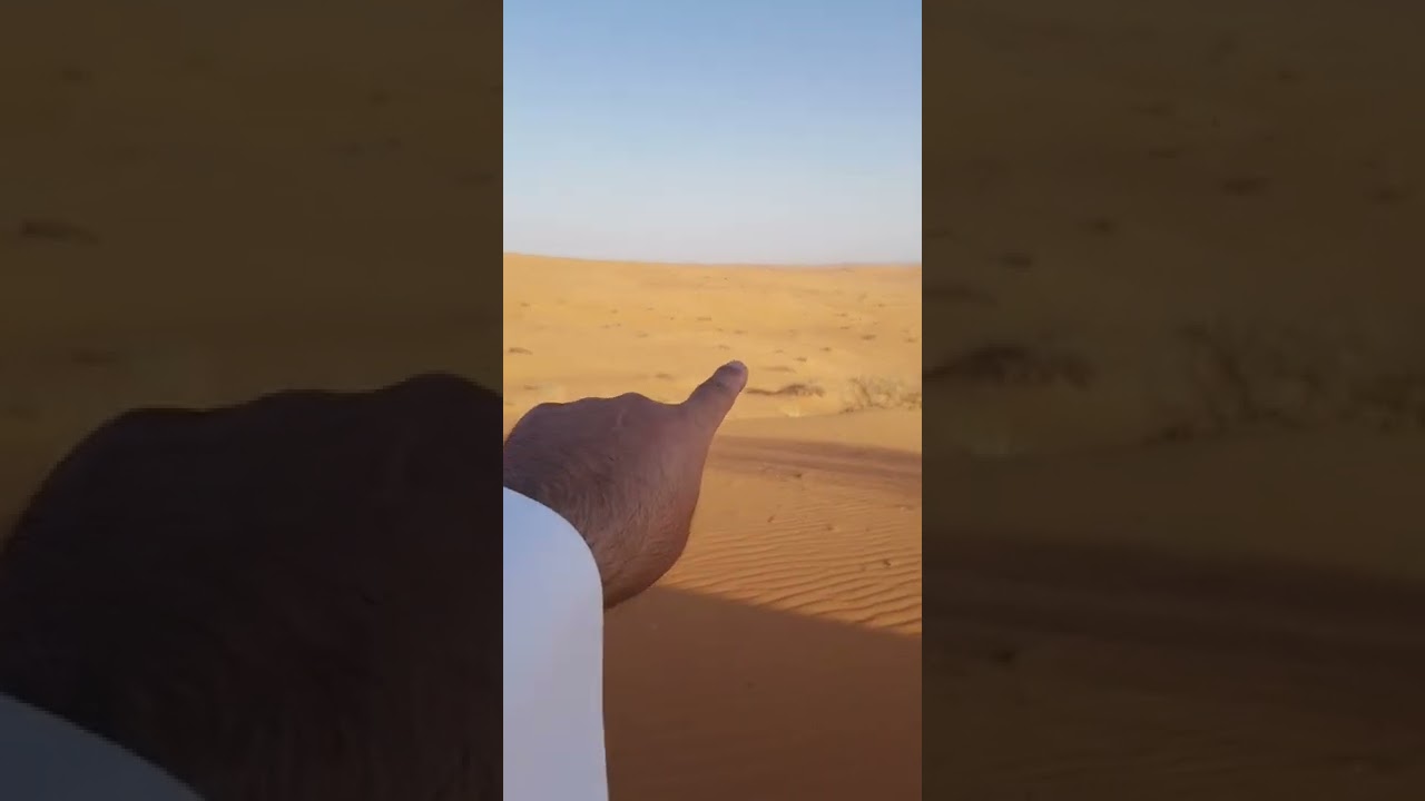 كيف تعرف الإتجاهات بالنفود