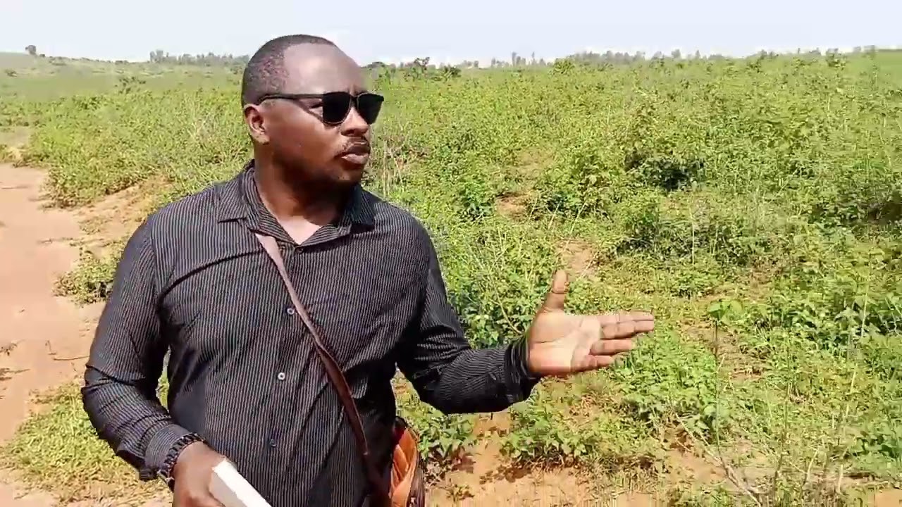 amasambu agurishwa hamwe na commissioner Rugasha