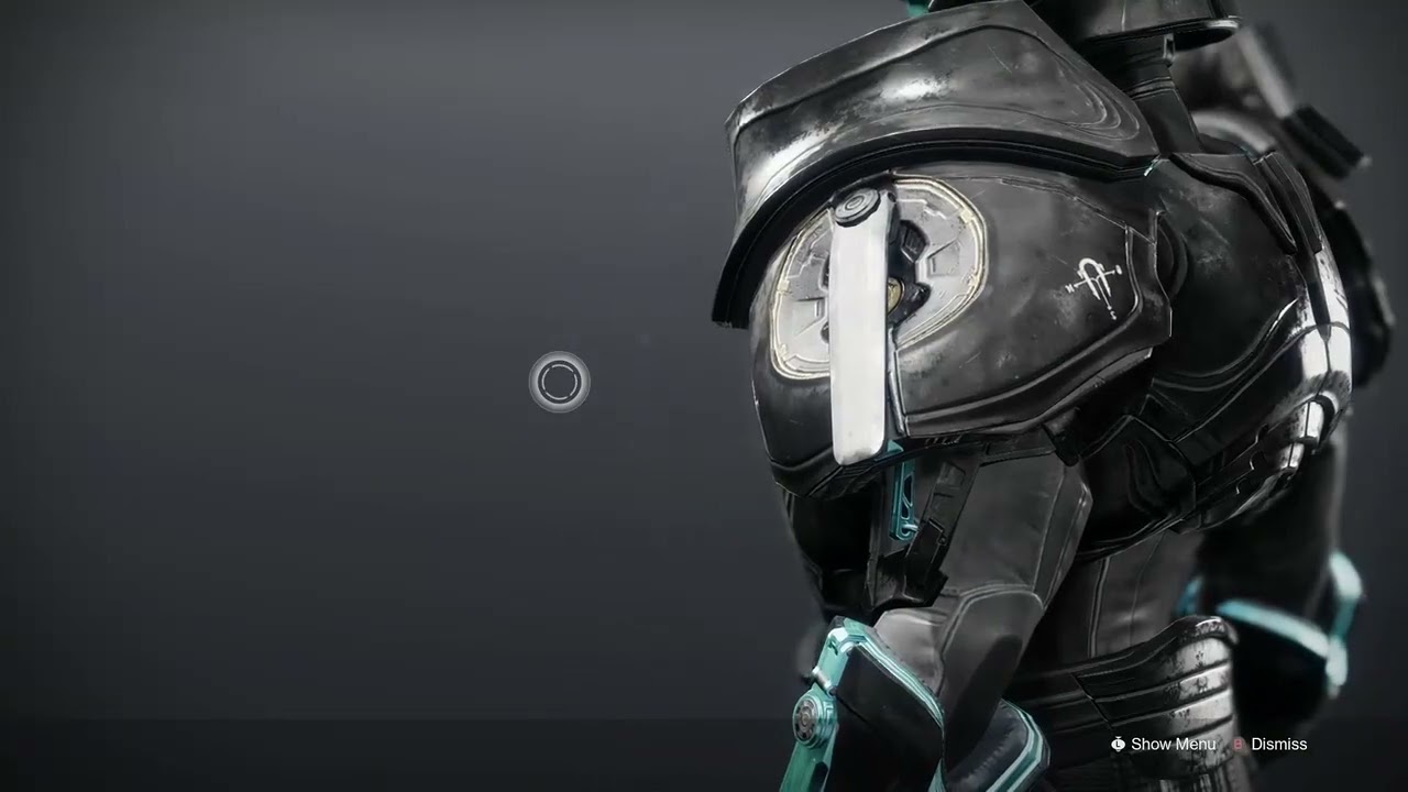 showcasing all flawless raid shaders(armor)[outdated]