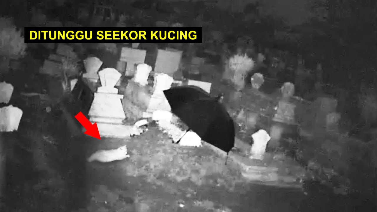Eksperimen CCTV di Kuburan Baru - Ada Penunggu Datang dan Terlihat