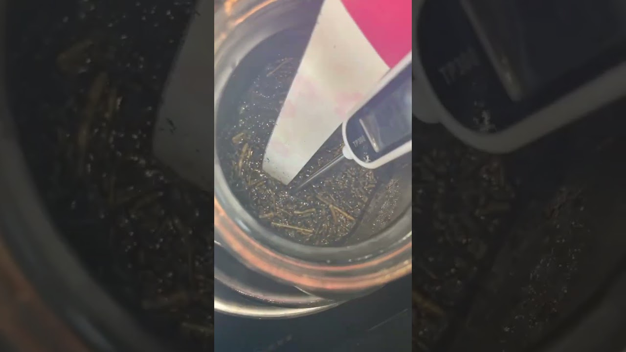 Making thc vape juice 👌68g of bottoms 50/50 vg pg. #cannabisheals #cannabisdaily #vape