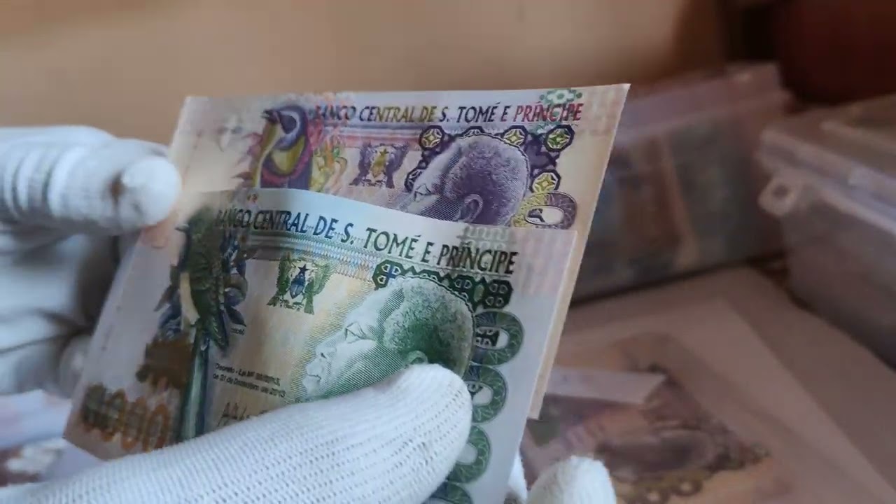 Showcasing Polymer Animal theme banknote beauties from Around the World! @worldcurrencyhunt