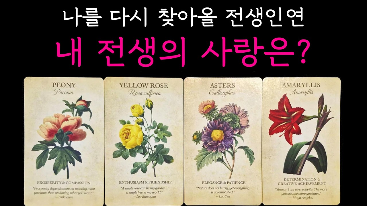 [타로] 내 전생의 사랑은?