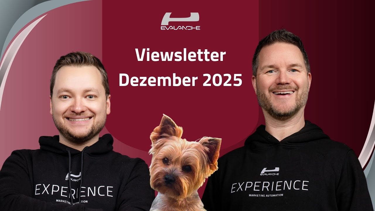 Der Evalanche Viewsletter - Ausgabe: Dezember 2025