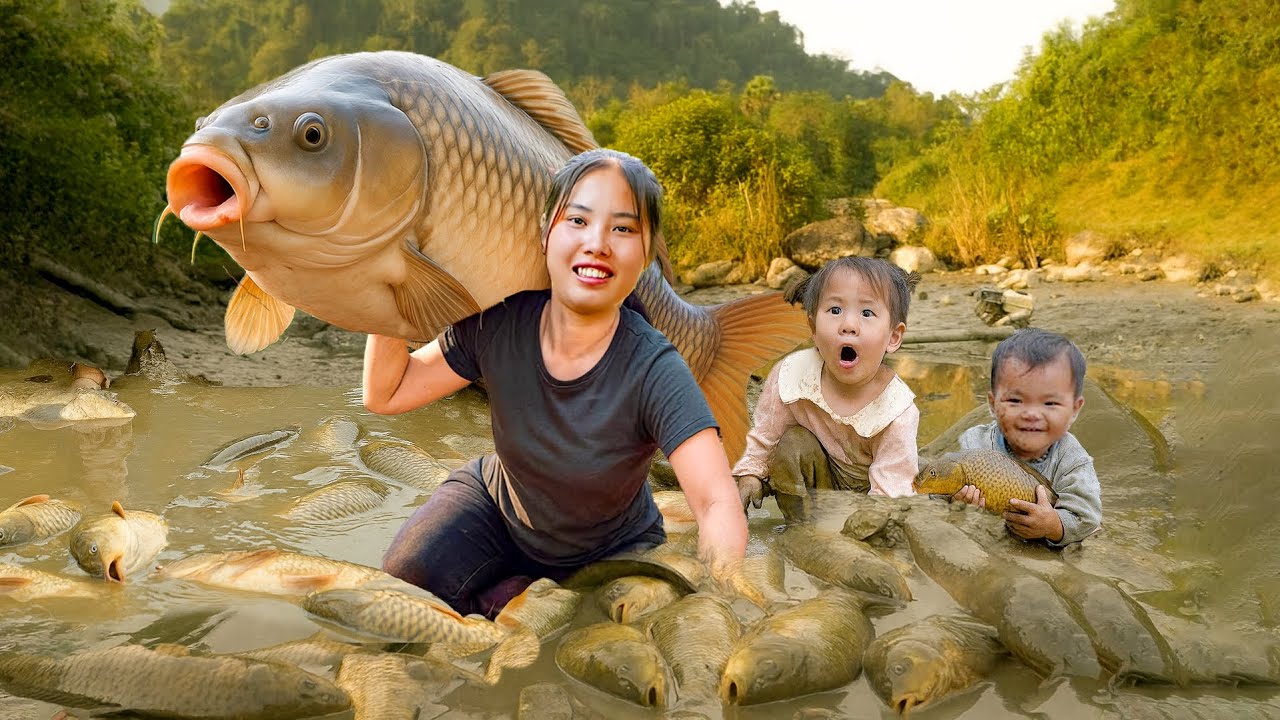 Catching and Harvesting Giant Fish from the Pond – Cook Big Fish for Children