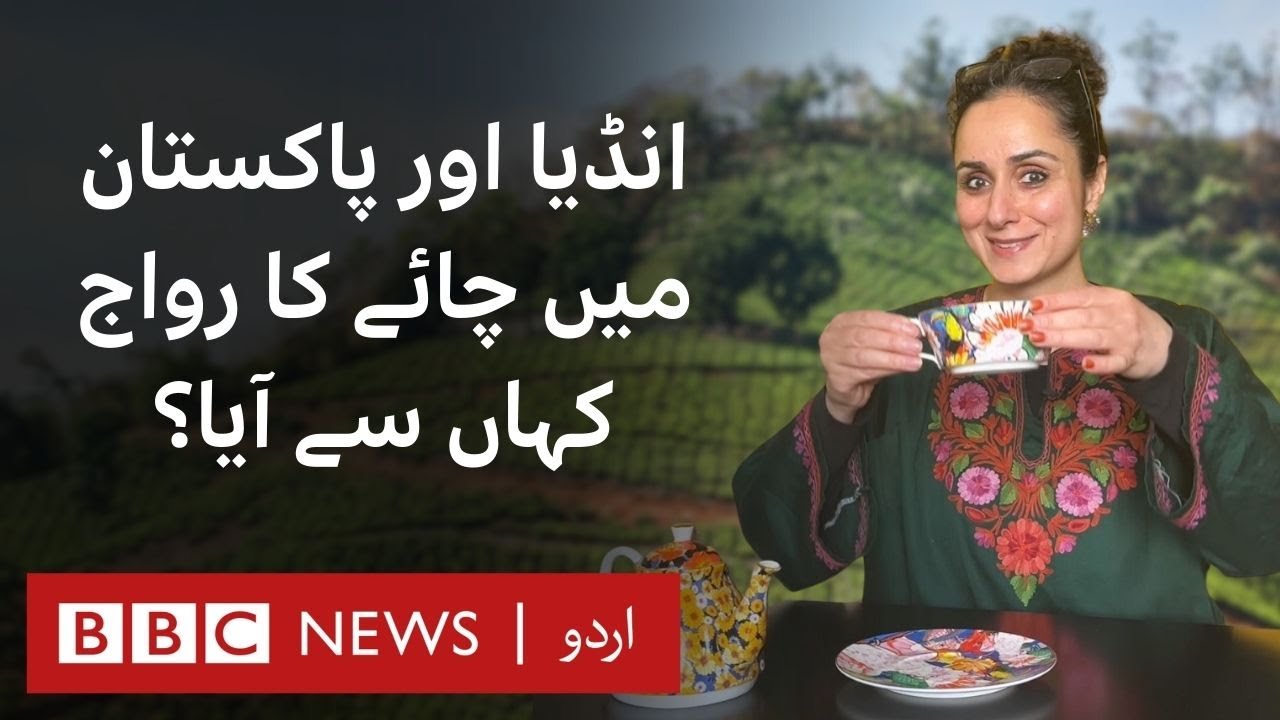 Where did tea in South Asia come from? | History of Chai in India & Pakistan - BBC URDU