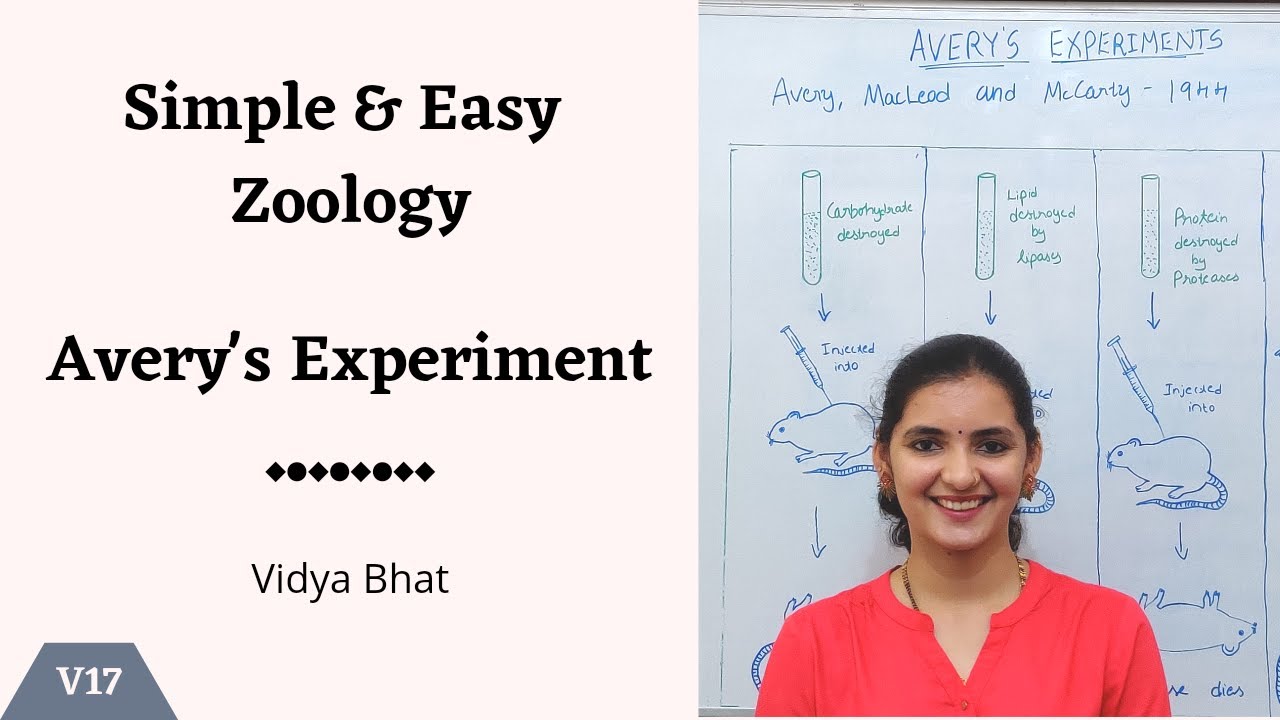 Avery's Experiment | Biochemical nature of transforming principle | Avery MacLeod McCarty experiment