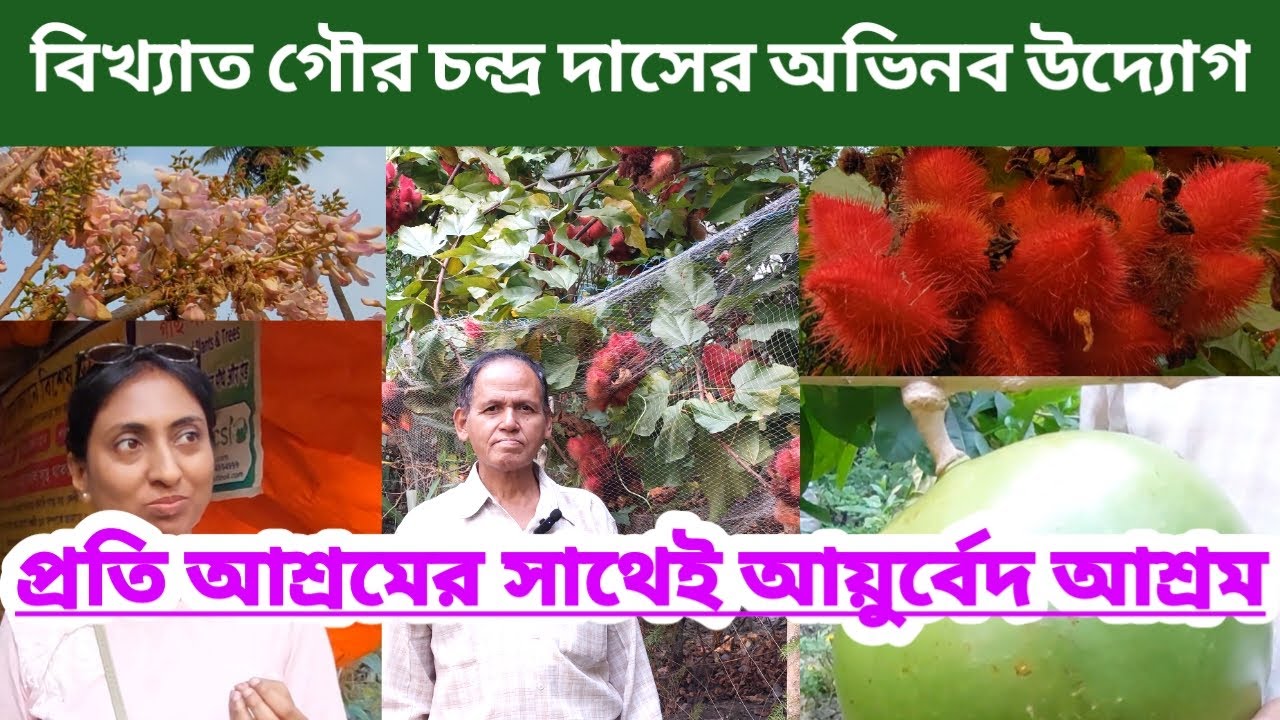 প্রতি ধর্মীয় আশ্রমের সাথেই আয়ুর্বেদ আশ্রম||Famous Gour Chandra Das||Medicinal Plants Nursery||