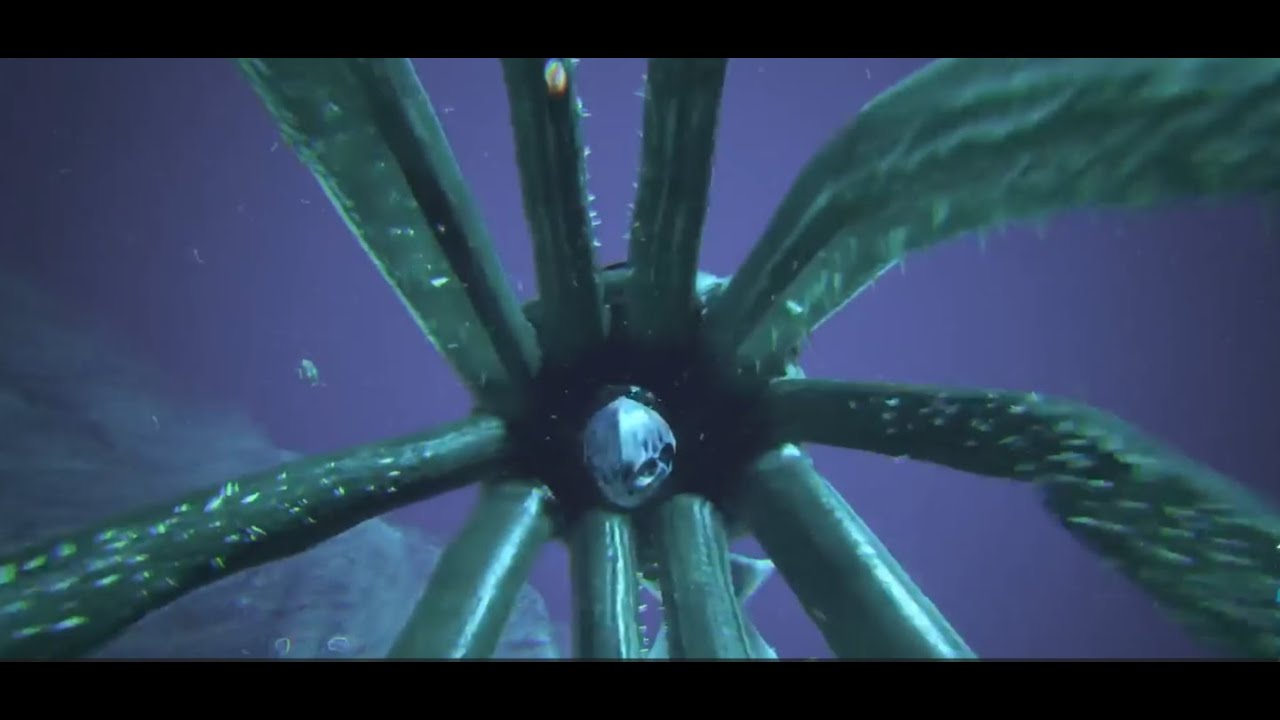 ark survival ep 5 explorando o oceano e domando uma tusoteuthis