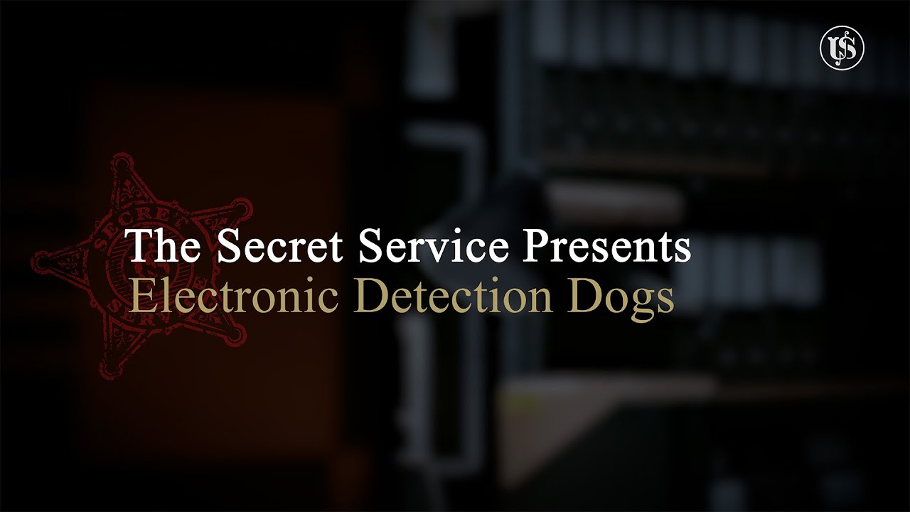 These Dogs Can Hunt…for Electronics - Inside the Electronic Detection Dog Program