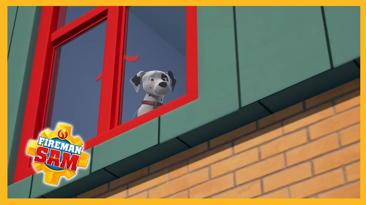 Don't leave Radar behind! 🔥 New Fireman Sam animal compilation