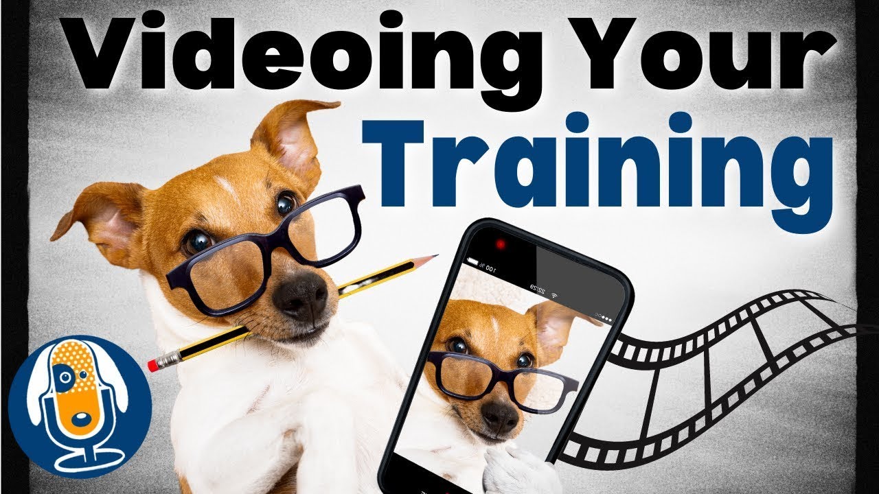 Become Your Own Dog Training Coach With This Video Strategy #133 #podcast