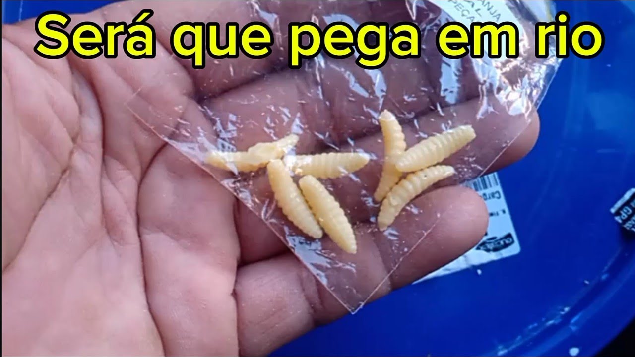 Testando isca artificial  bicho da laranja ,  bigato . #isca #peixe #viral .