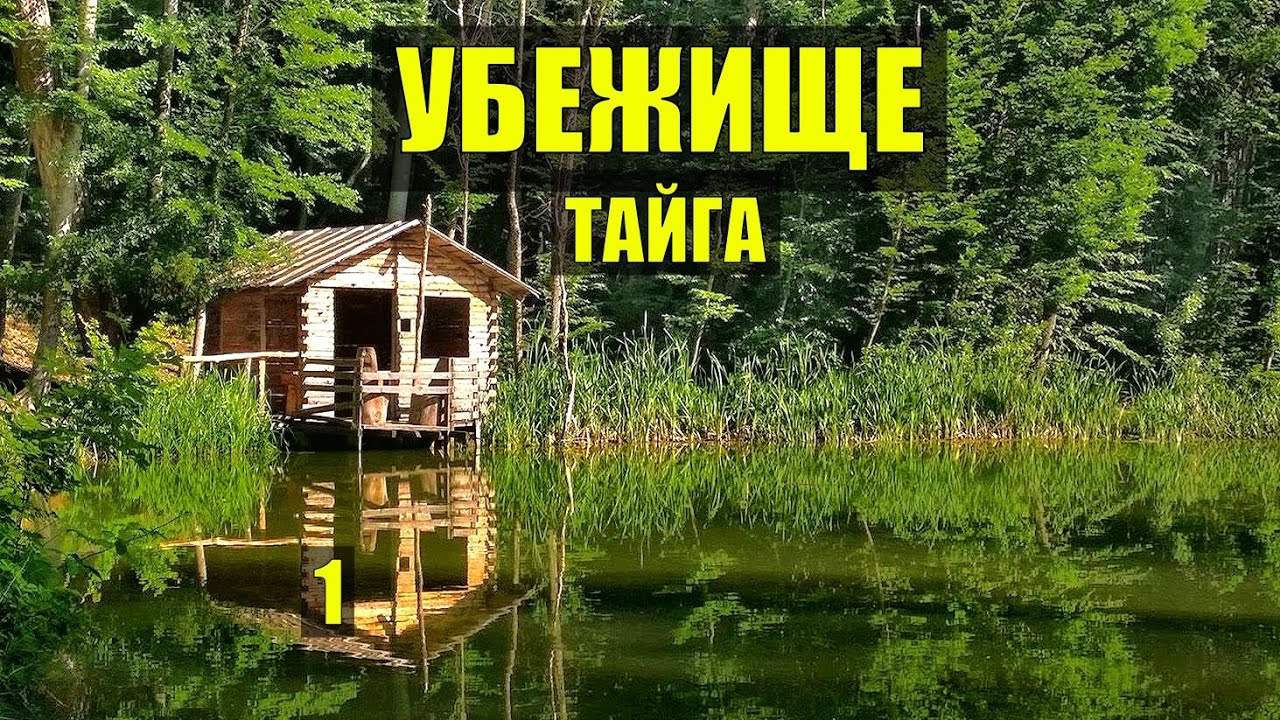 УБЕЖИЩЕ РЫБАКА ОТШЕЛЬНИКА СУДЬБА ДОМ в ЛЕСУ ВЫЖИВАНИЕ РАССКАЗЫ ИСТОРИИ из ЖИЗНИ РАССКАЗЫ СЕРИАЛ 1