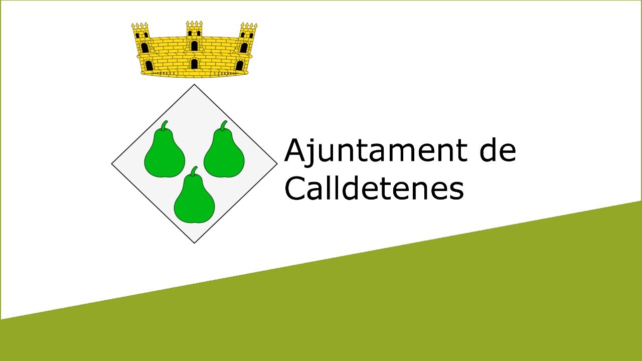 Sessió plenària ordinària dilluns 1 de juliol de 2024