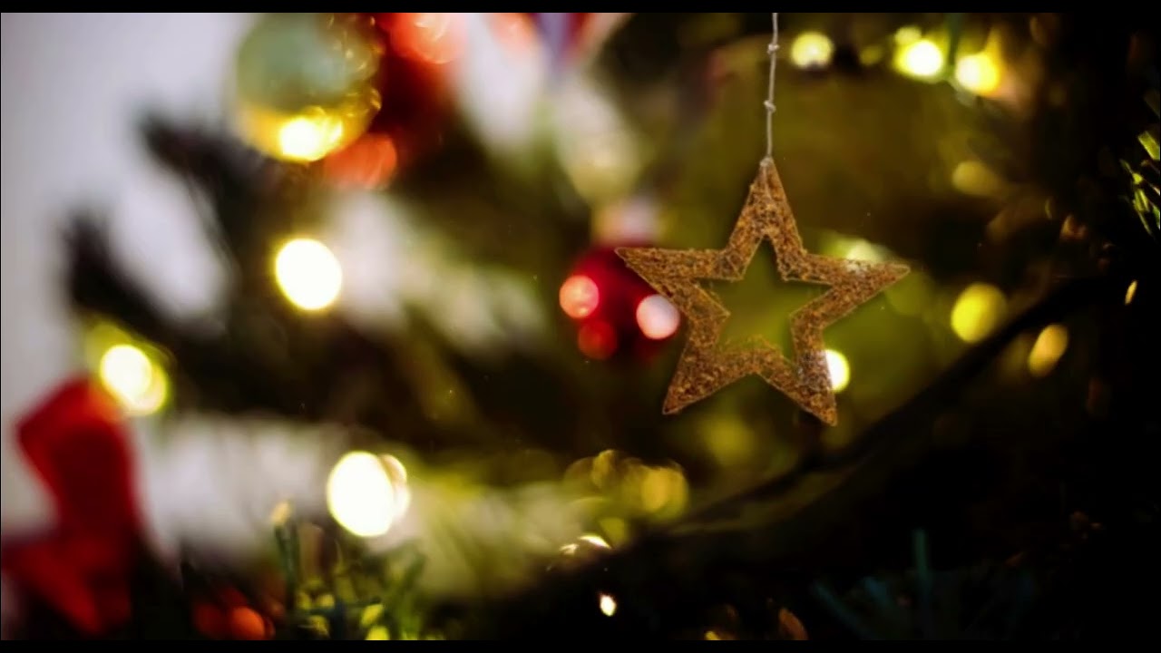 Christmas Animation Loop / No Talking / 2 Hours 🎄✨