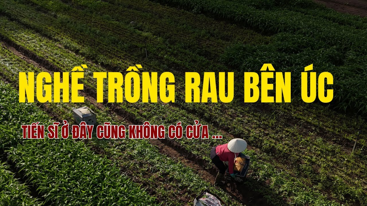 CHUYỆN LẦN ĐẦU TIÊN TIÊN CHIA SẺ CỦA NGƯỜI 30 NĂM LÀM FARM BÊN ÚC