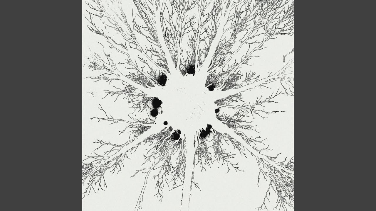 Absolune - Variation V. (Double Bass)