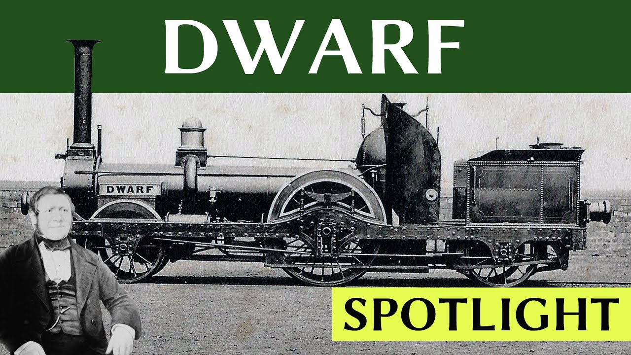 Spotlight: Dwarf