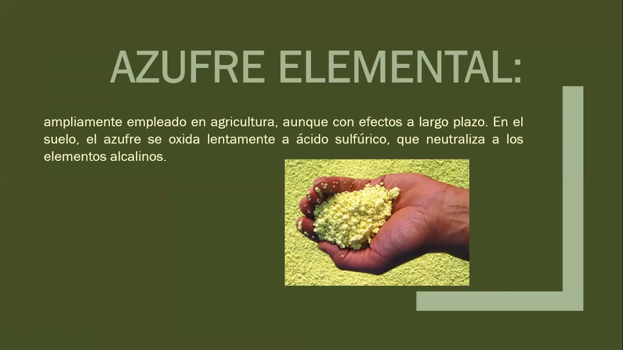 Enmiendas en Suelos Alcalinos