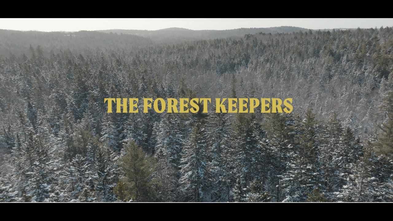 The Forest Keepers: A Story of Woodland Stewardship