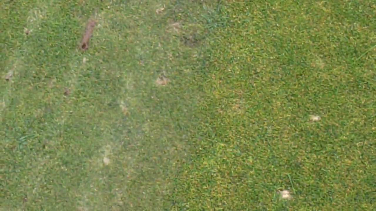 Dryject Process