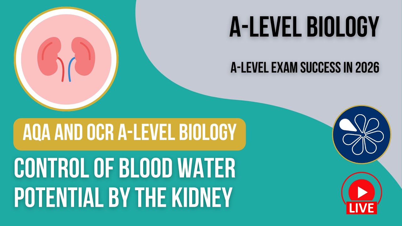 AQA and OCR A-Level Y2 Biology Live Stream 2026 | Control of Blood Water Potential by the Kidney