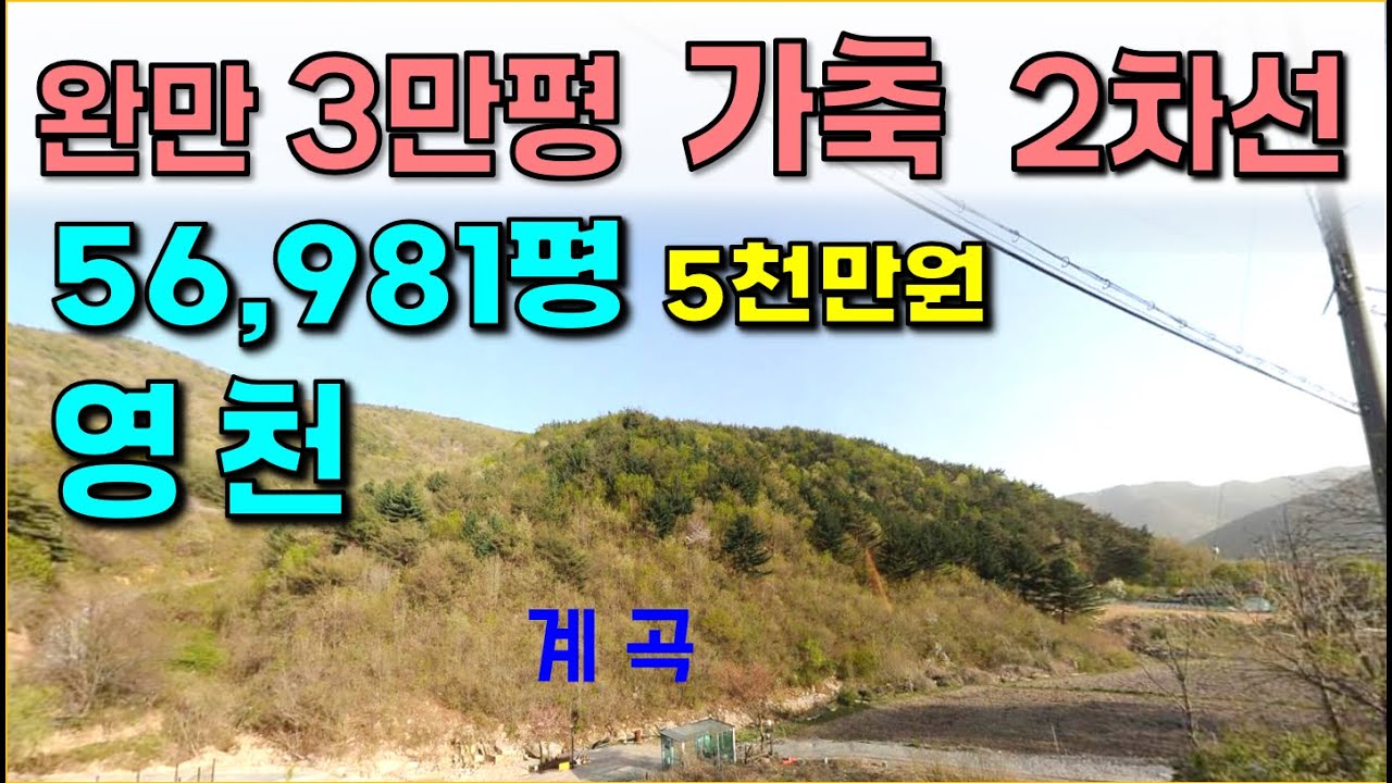영천. .56,981 평 /  완만한  3만평  /  2차선도로,  계곡,  전기  / 가축사육, 방목 / 보현산 천문대 아래 //변경일정 아래 설명란