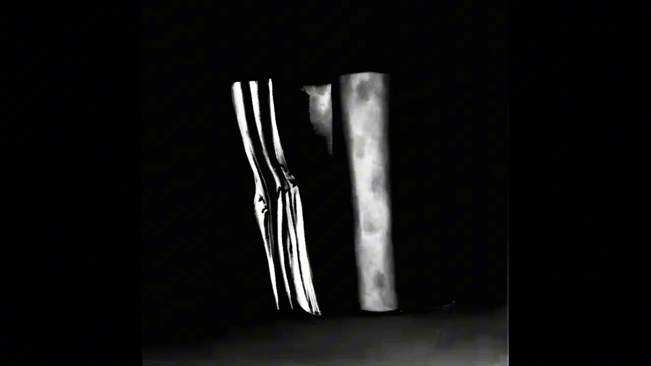 B4 - The loves of my entire life(extreme slowed + reverb) The Caretaker