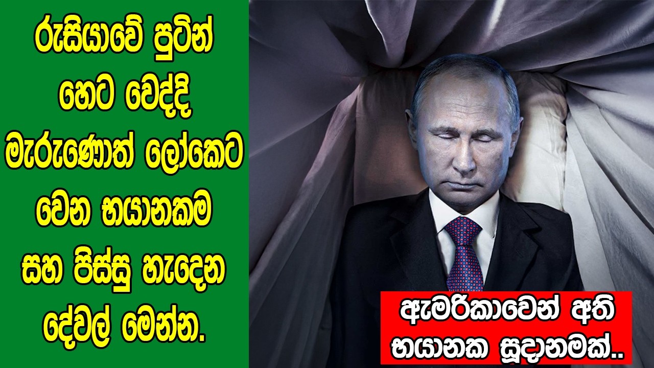 රුසියා​වේ පුටින් හෙට වෙද්දි මැරුණොත් ලෝකෙට වෙ​න භයානකම සහ පිස්සු හැදෙන දේවල් | What If Putin Dies?