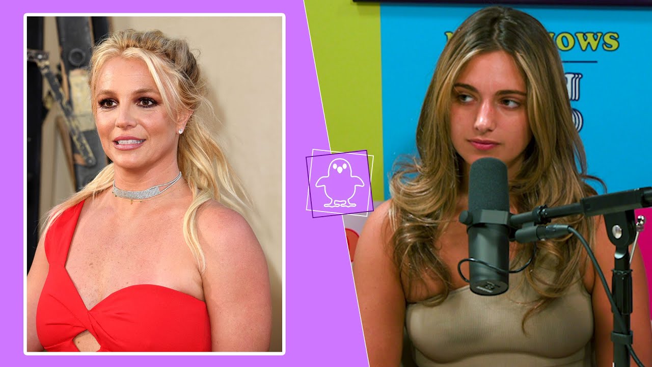 Britney Spears Court Hearing Breakdown