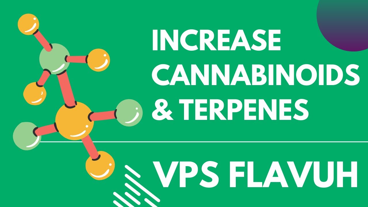 VPS FlaVUH Medicinal Plant Additive for Increased Cannabinoid & Terpene Production