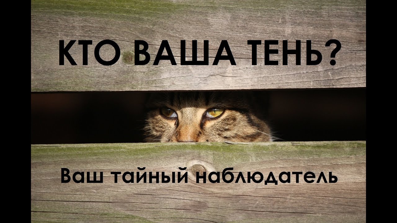 КТО ВАША ТЕНЬ? КТО ТАЙНО НАБЛЮДАЕТ? Друг или враг? Гадание на Таро.