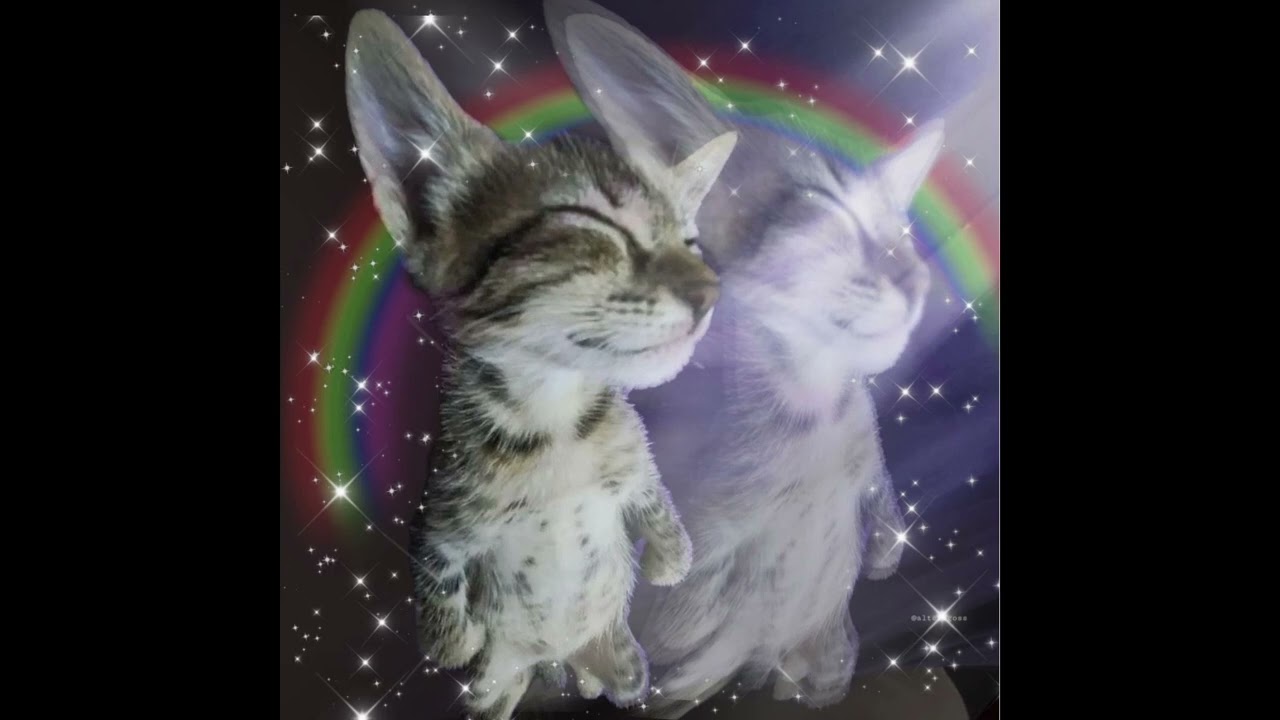 GN
