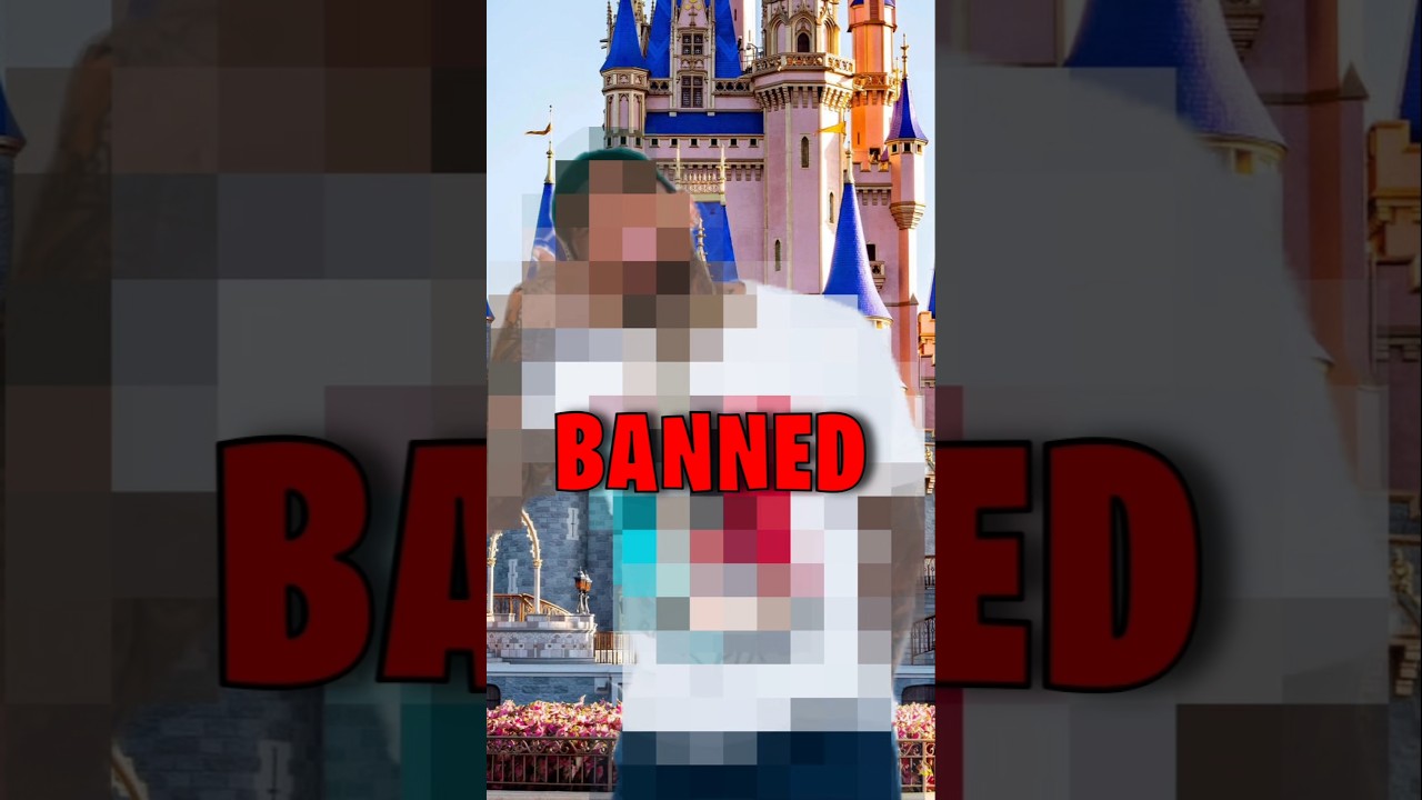 Disney World Banned The BEST Artist?