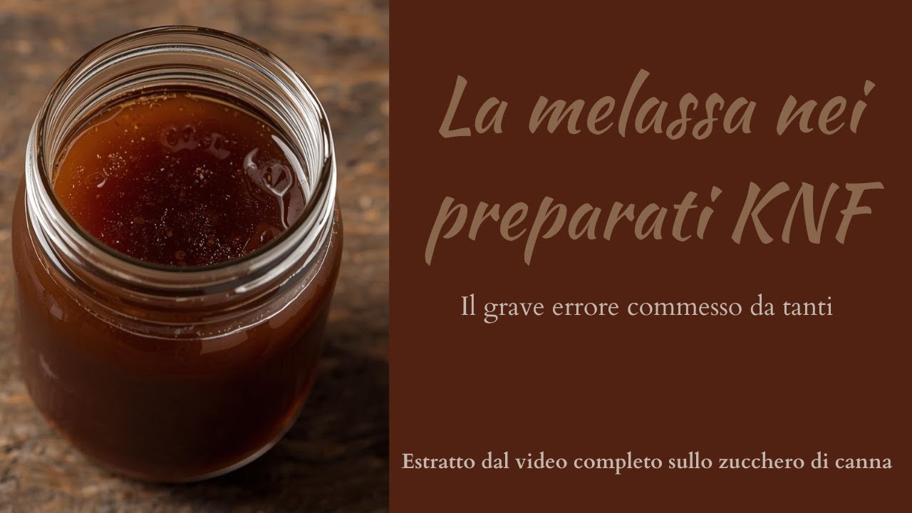 La melassa nei preparati KNF: il grave errore commesso da tanti