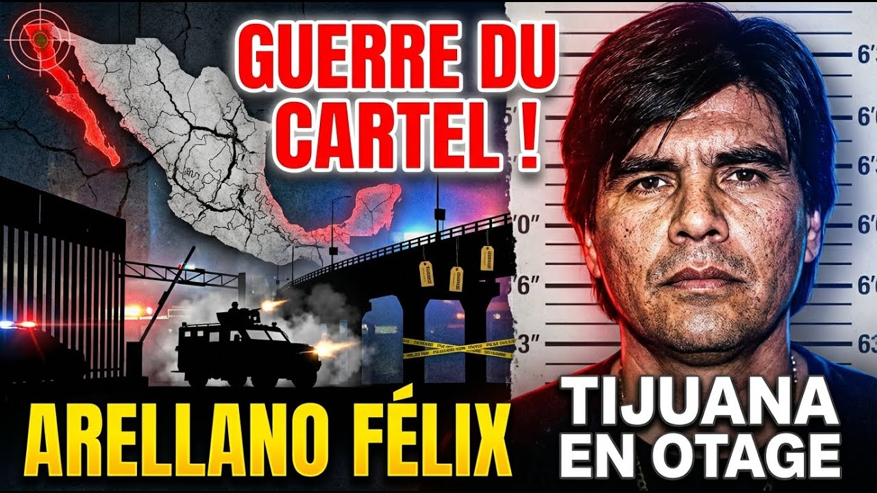 Tijuana NARCO CARTEL ALLIANCE CJNG! JALISCO INVASION! GUERRE TOTALE SINALOA!