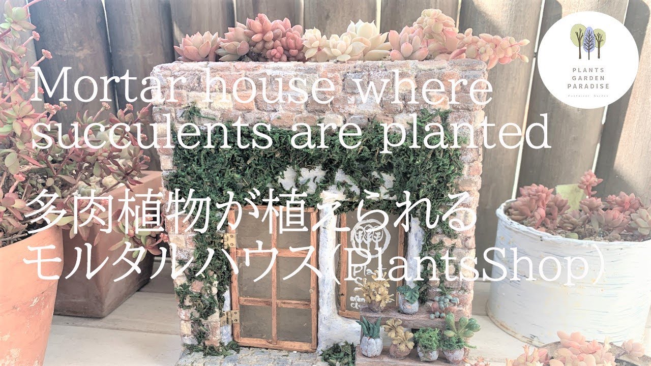 ハンドメイド 多肉植物が植えられるモルタルハウス鉢[Succulent plant Handmade DIY]