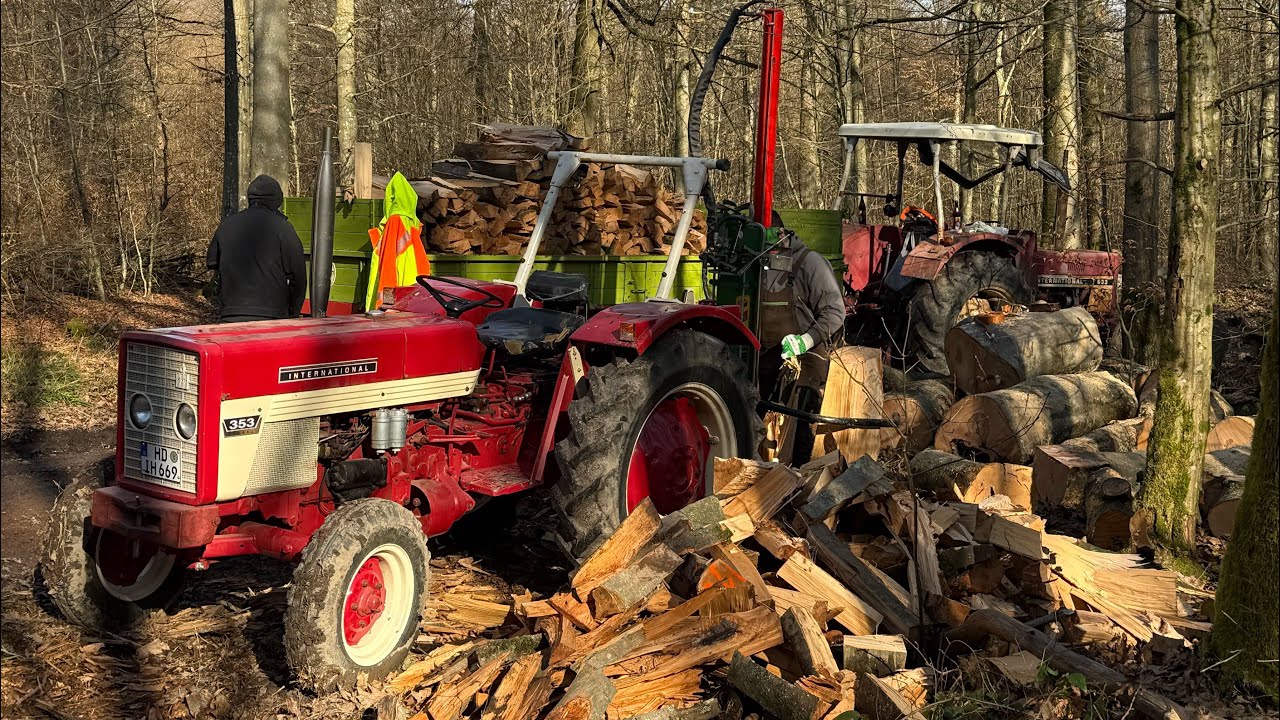 IHC 353 mit dem Holzspalter Thor Super Magik undt der Bindeberger WS700 Wippkreissäge im Wald