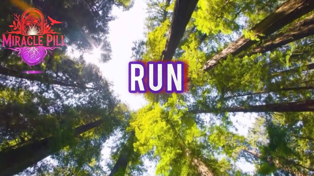 Miraclepill - RUN  ( official  lyric video)  