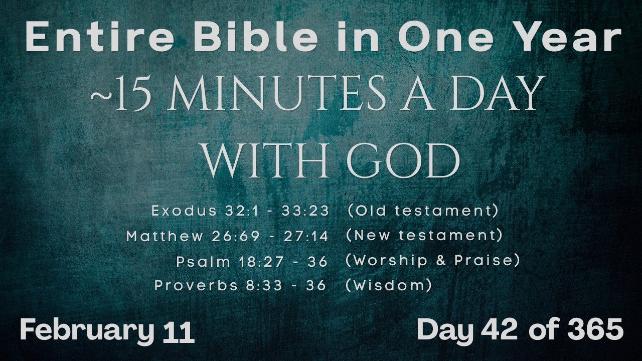 February 11 - Entire Bible in One Year (~15 min/day audio) | Bible Global 365