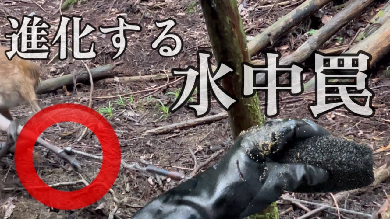 #76【新たな発見】進化する水中罠