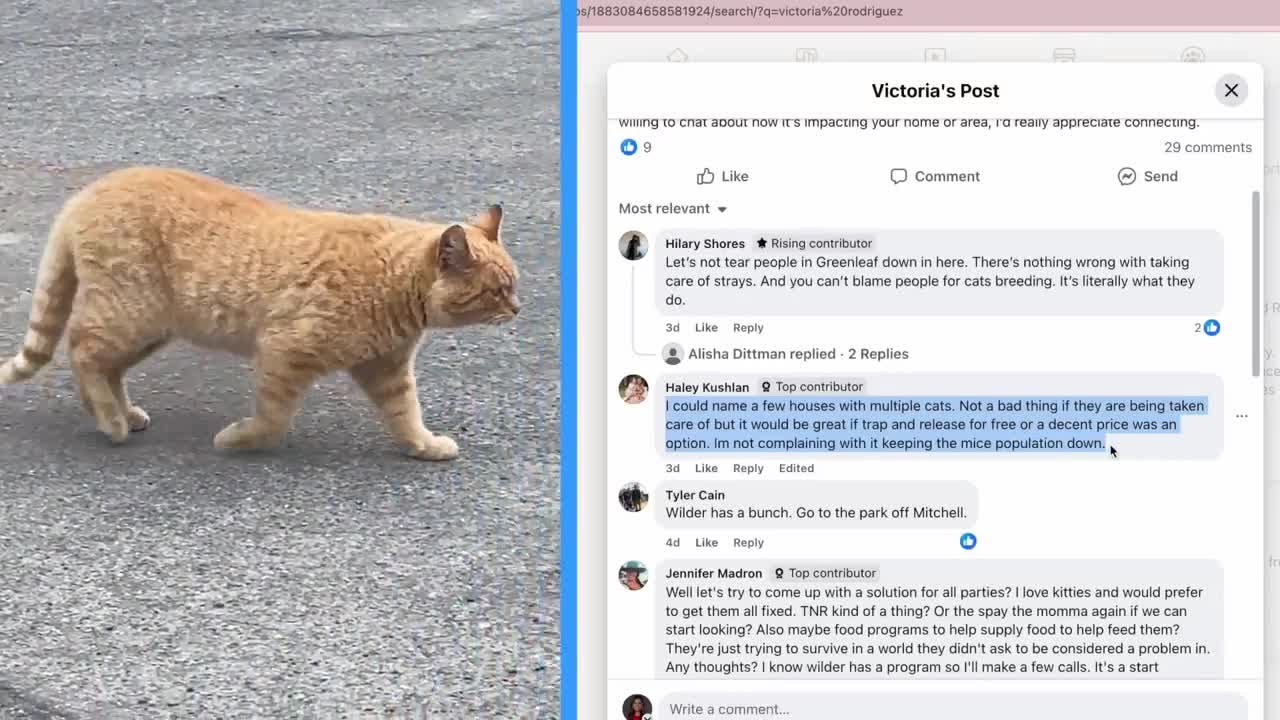 Stray, Feral Cat Population Overwhelms Rural Canyon County Communities
