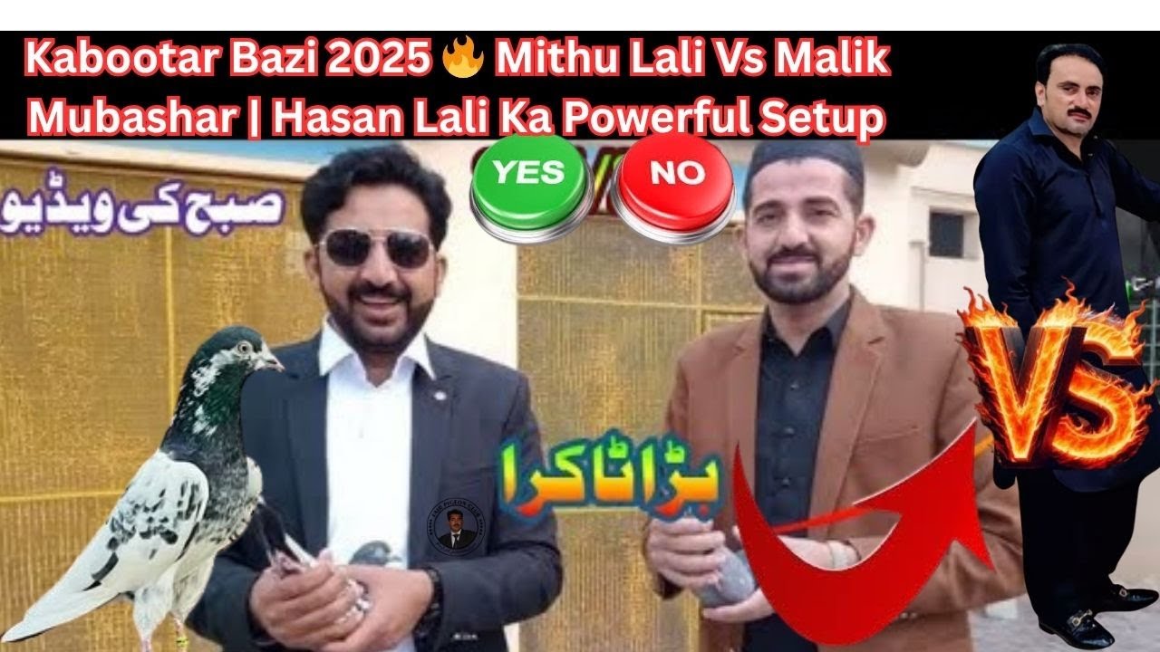 Ustad Mitthu Lali,Hassan lali Punjab Ki Champion Piplan Group vs Lahore Group &ndash; Kabutar Bazi 2025