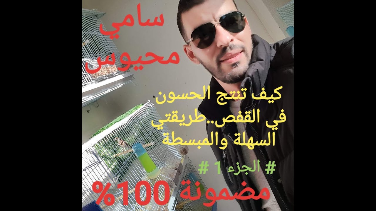 #سامي_محيوس يشرح طريقته لإنتاج الحسون في القفص #الجزء_الأول... مضمونة سهلة ومبسطة..أدعولنا بالخير
