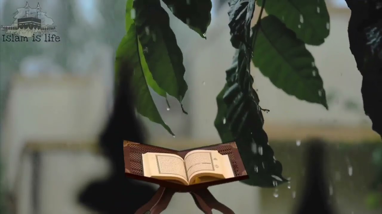 وليد ابراهيم الفلوجي سورة البقرة-Walid   Ibrahim Al-Falluji Surah Al-Baqarah
