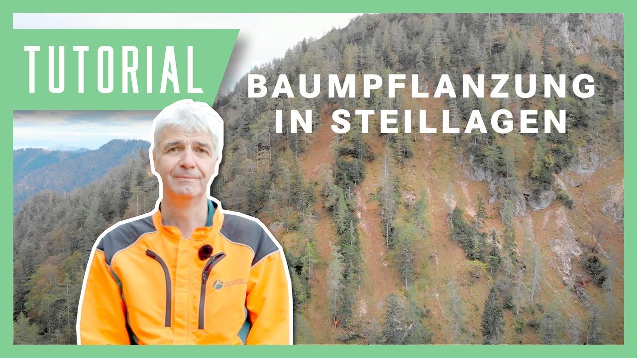 Bäume in Steillagen pflanzen: Wolfgang erklärt die richtige Technik | Forstwirtschaft Tutorial
