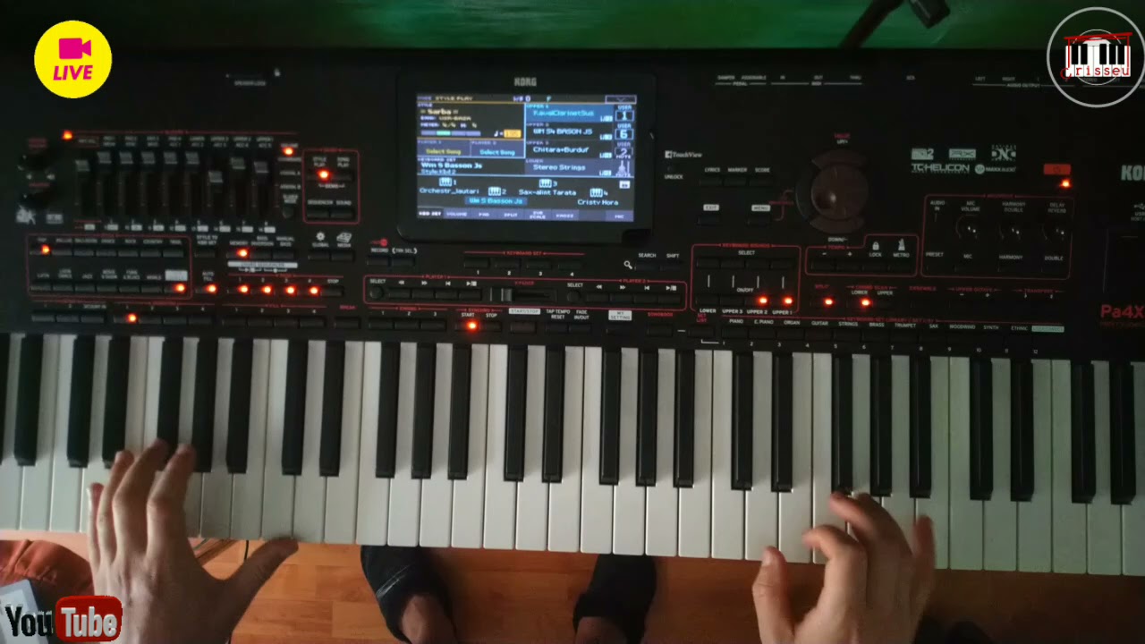 #V359 🎺🎹🚦Două sârbe frumoase !😅