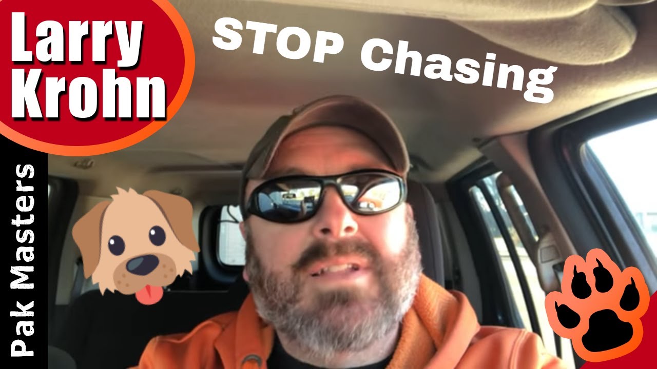 How to STOP a dog from chasing cars, bikes, and anything else that moves
