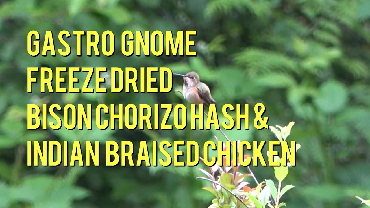 Gastro Gnome Bison Chorizo Hash and Indian Yogurt Braised Chicken June 2023 at MW